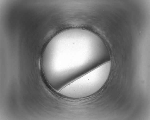X0000066080019200603100949