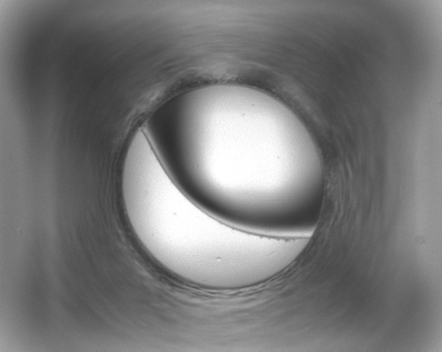 X0000066080023200603100949