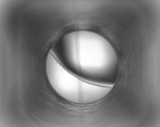 X0000066080027200603100949