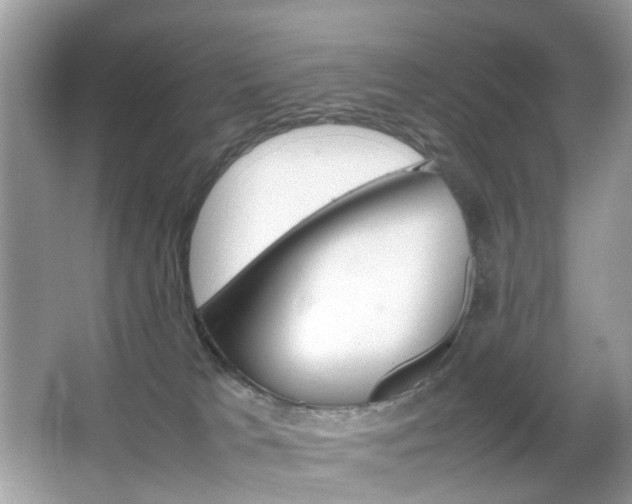 X0000066080037200603100949
