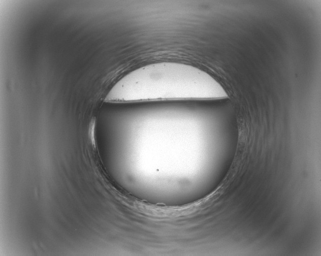 X0000066080047200603100948