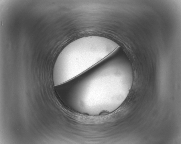 X0000066080048200603100948
