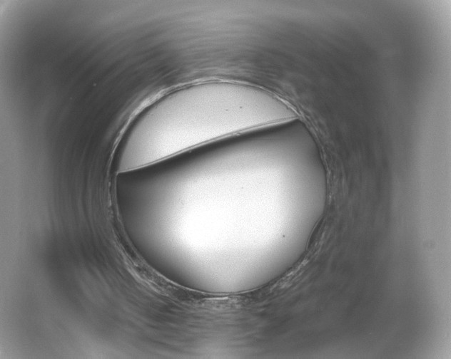 X0000066080050200603100948