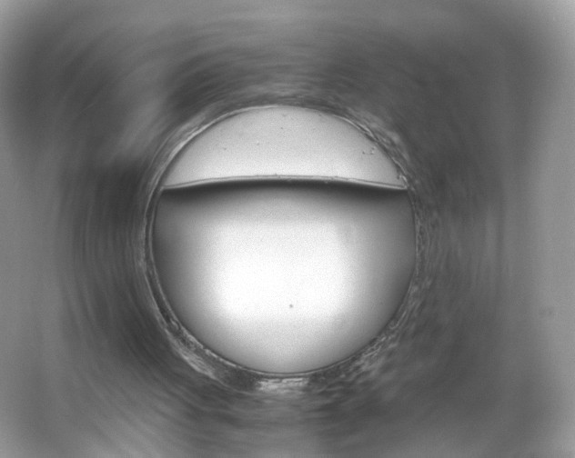 X0000066080051200603100948