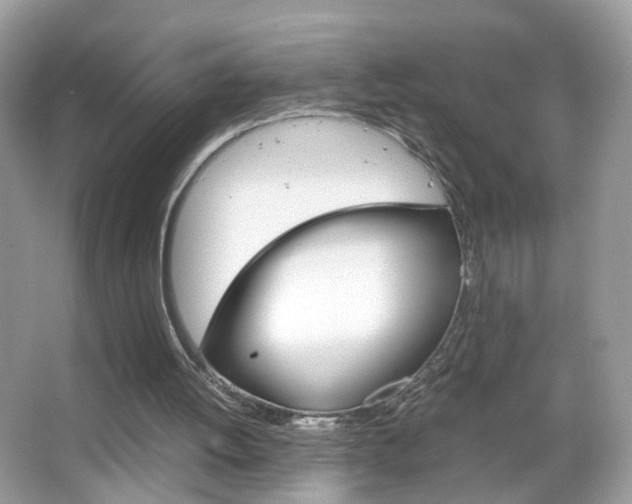 X0000066080052200603100948