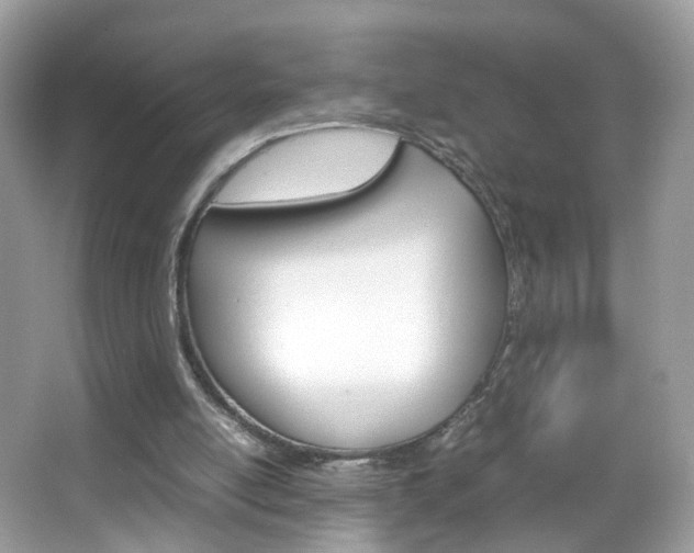 X0000066080054200603100948