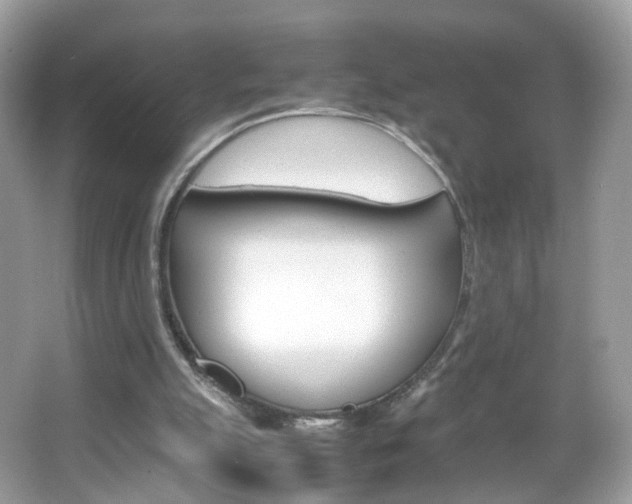 X0000066080055200603100948
