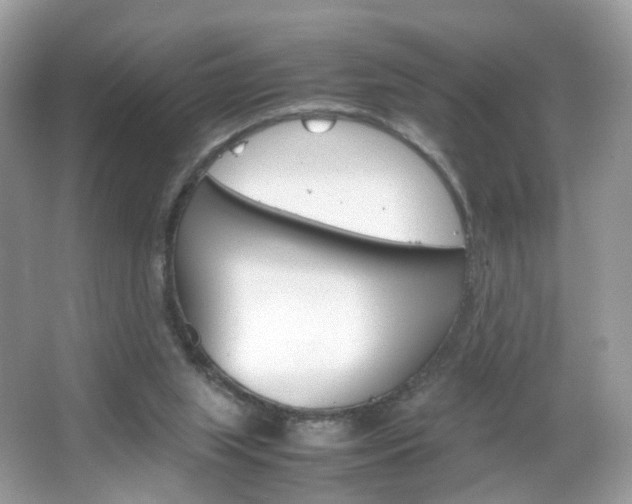 X0000066080063200603100948