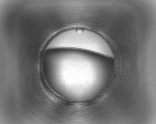 X0000066080064200603100948