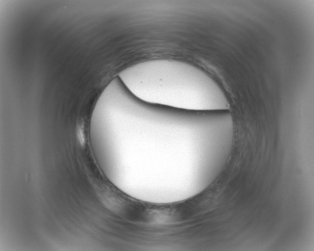 X0000066080069200603100948