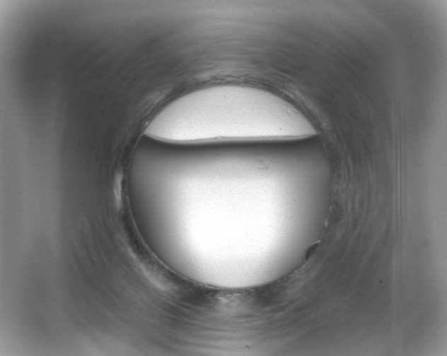 X0000066080070200603100948