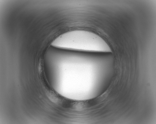 X0000066080074200603100948