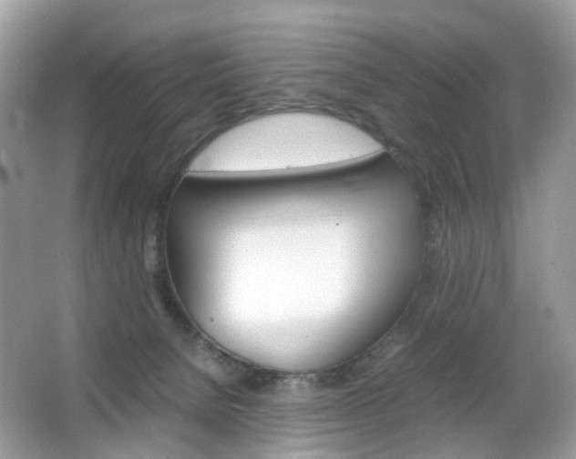 X0000066080080200603100948