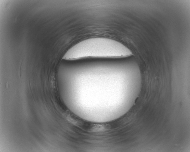X0000066080083200603100948