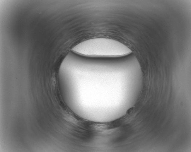 X0000066080085200603100948