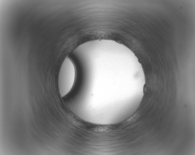 X0000066080086200603100948