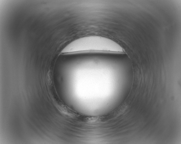 X0000066080088200603100948
