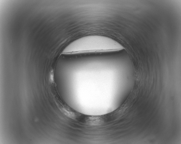 X0000066080095200603100948