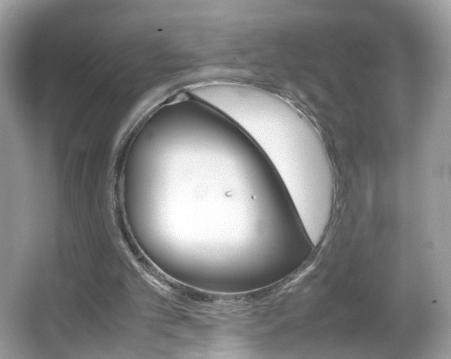 X0000066080101200603100947