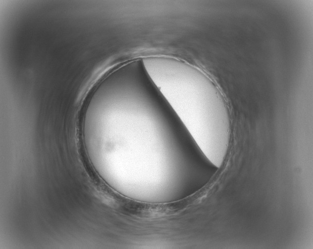 X0000066080103200603100947