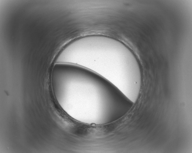 X0000066080107200603100947