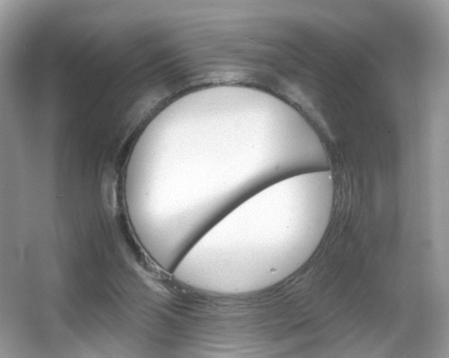 X0000066080110200603100947
