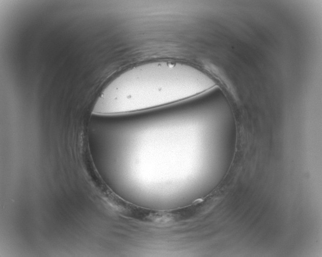 X0000066080113200603100947