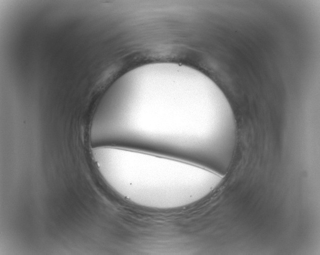 X0000066080115200603100947