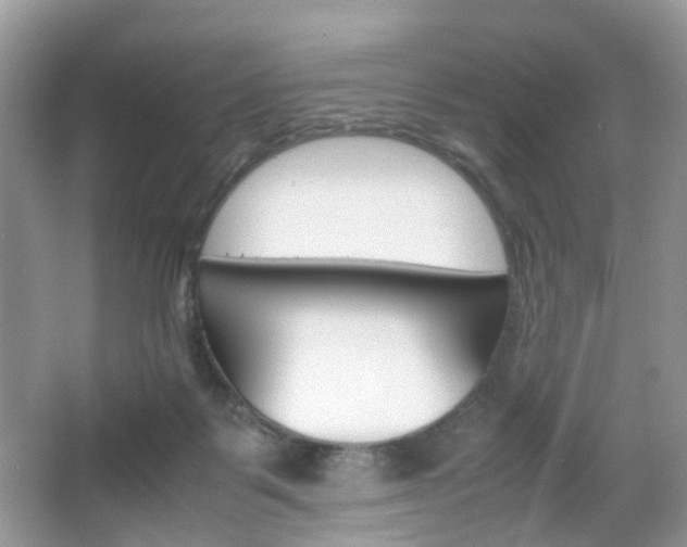 X0000066080123200603100947