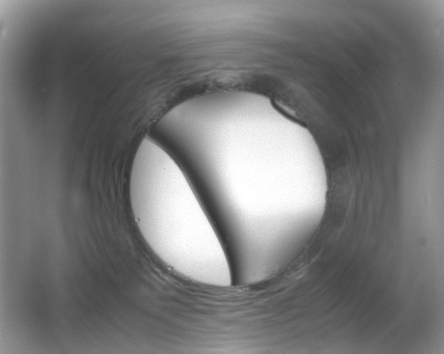 X0000066080135200603100947