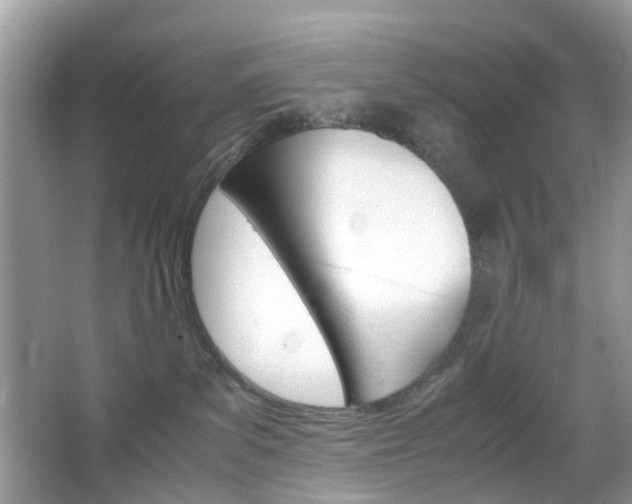 X0000066080139200603100947
