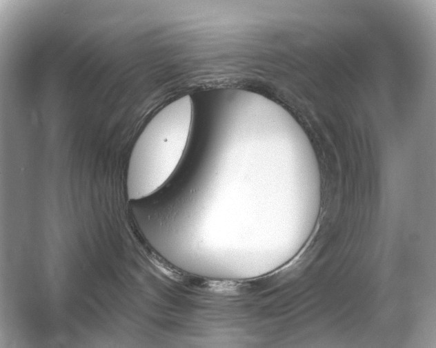 X0000066080144200603100947