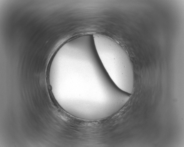 X0000066080147200603100946