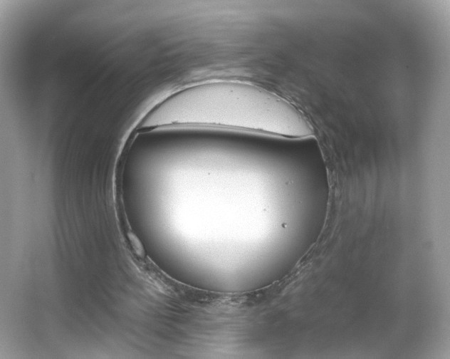 X0000066080148200603100946