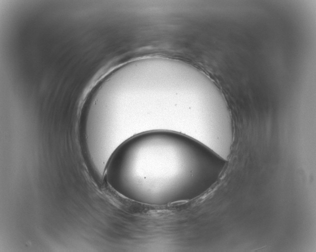 X0000066080150200603100946