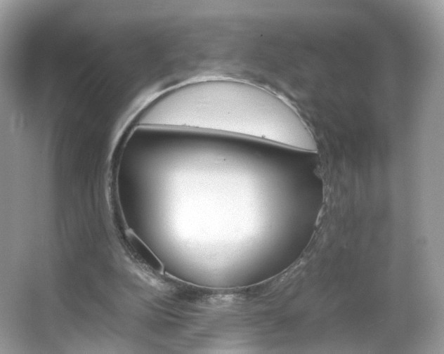X0000066080152200603100946
