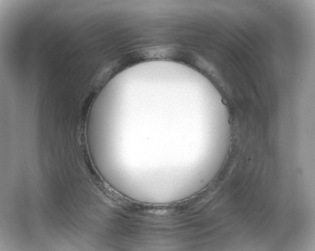 X0000066080161200603100946