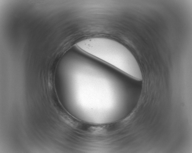 X0000066080170200603100946
