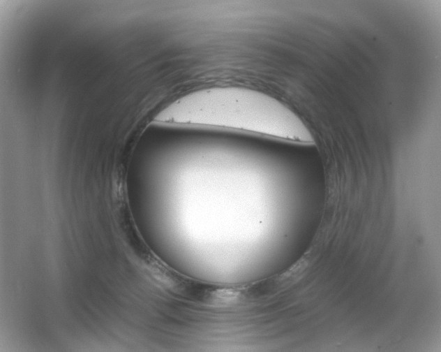 X0000066080176200603100946