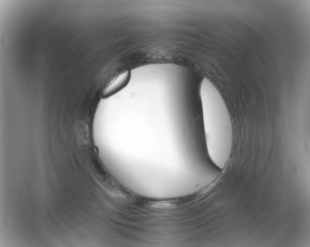 X0000066080183200603100947