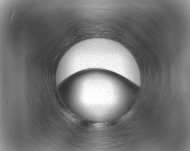 X0000066080184200603100947