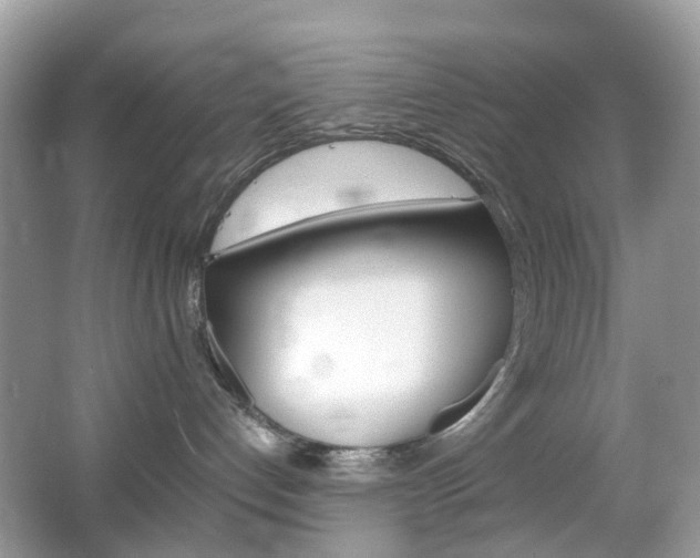 X0000066080192200603100947