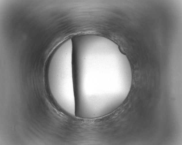 X0000066080194200603100946