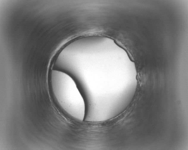 X0000066080196200603100946