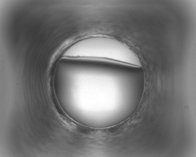 X0000066080197200603100946