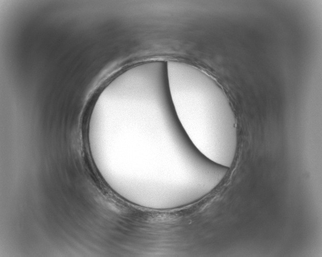 X0000066080198200603100946