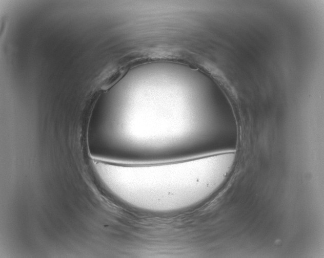 X0000066080201200603100946