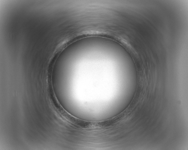 X0000066080207200603100946