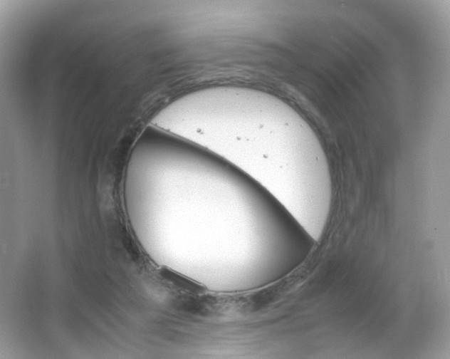X0000066080209200603100946