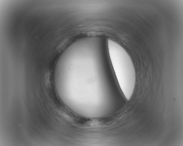 X0000066080219200603100945